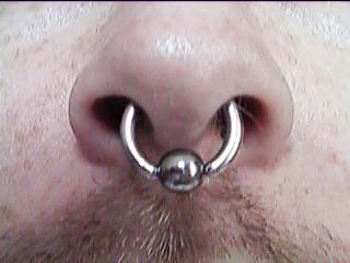 septum.jpg