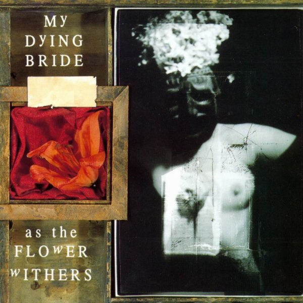 my-dying-bride-as-the-flower-withers-1992.jpeg