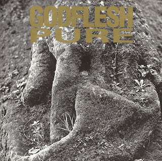 godflesh+pure.jpg