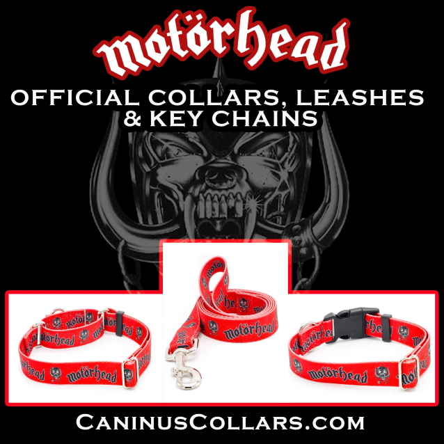 dogcollars1.jpg