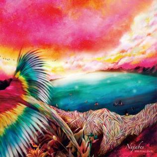 Nujabes-spiritual-state.jpg