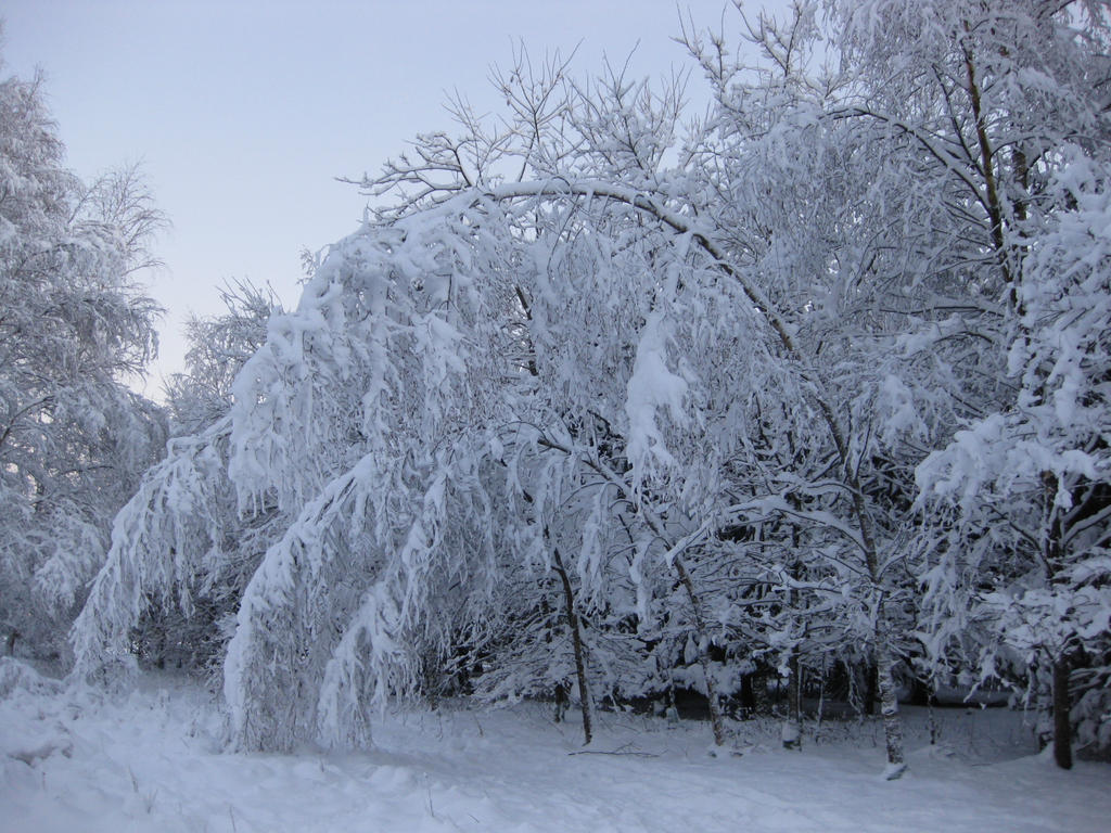 winter_wonderland_53_by_tree_of_death-d35ag68.jpg