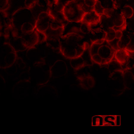 osi-blood.jpg