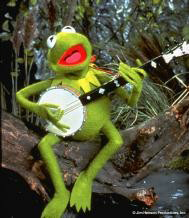 kermit-banjo.jpg