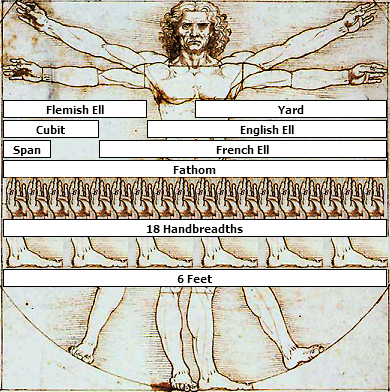 Vitruvian_Man_Measurements.png