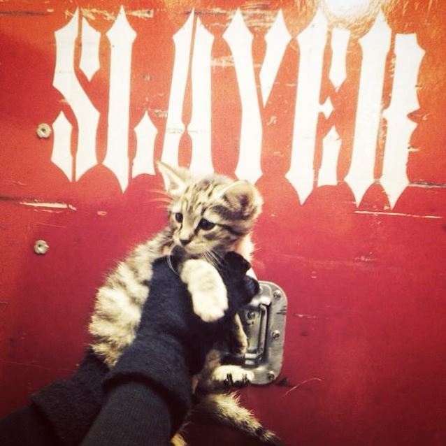 slayercatindy_0.jpg