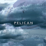 pelican2.gif