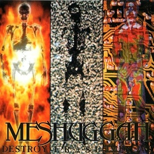 Meshuggah-DestroyErase.jpg