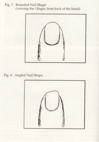 Nail%20Shape.jpg