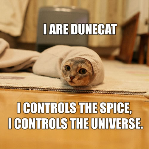 i-are-dunecat.jpg