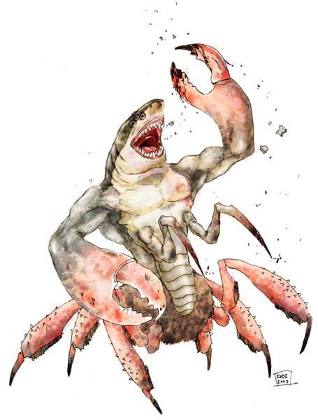 crab-shark.jpg