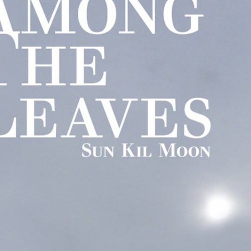 sun-kil-moon-among-the-leaves.jpg