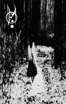 252137.jpg