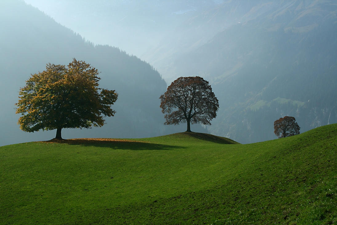 Hills_of_Switzerland_by_kozaj.jpg