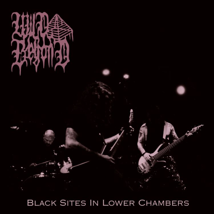 WildBeyondBlackSitesInLowerChambers-750x750.jpg