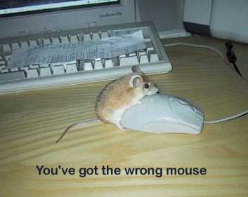 hornymouse.jpg