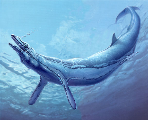 Basilosaurus.jpg