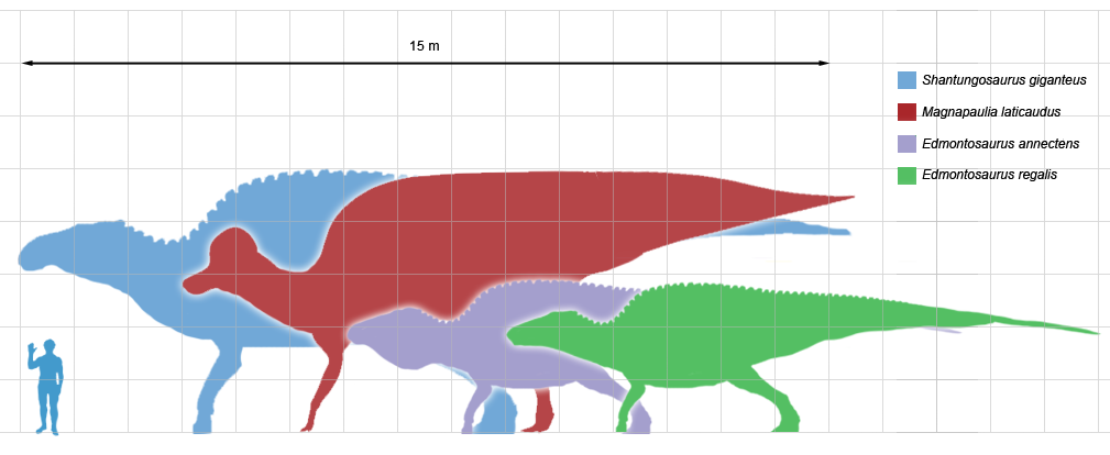 Largestornithopods_scale.png