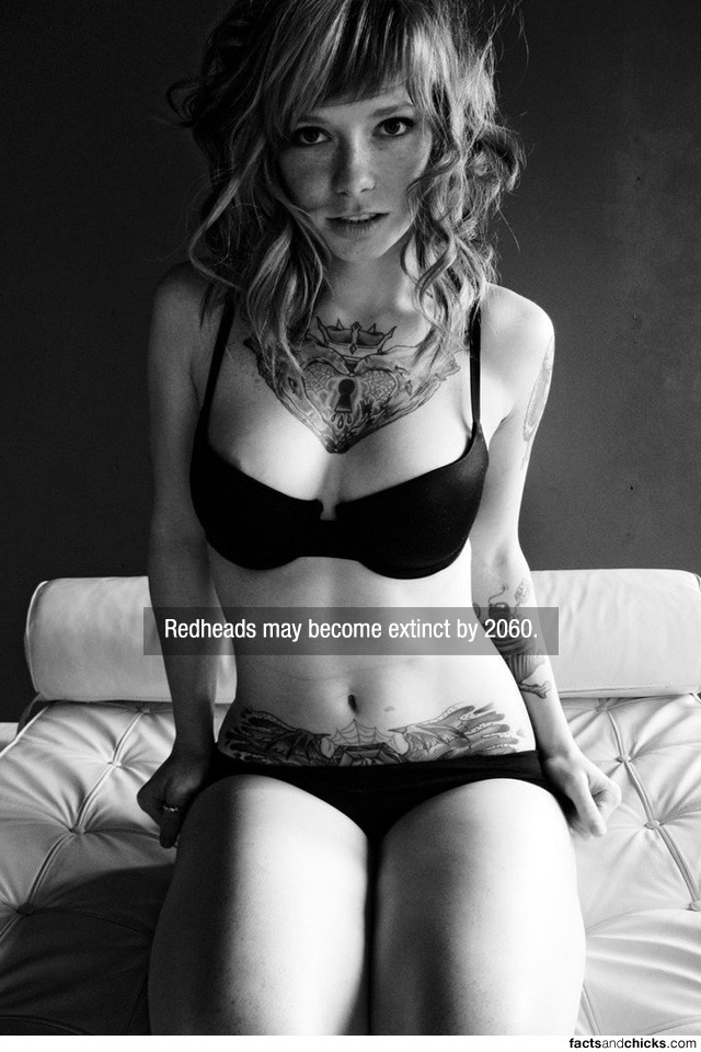 tumblr_m6bzmcii1Y1r3tp7bo1_1280.jpg