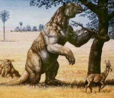 ground-sloth.jpg