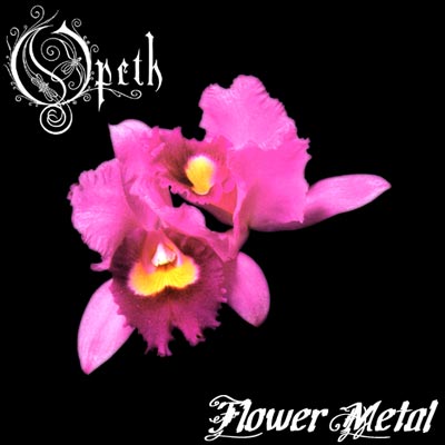 orchid.jpg