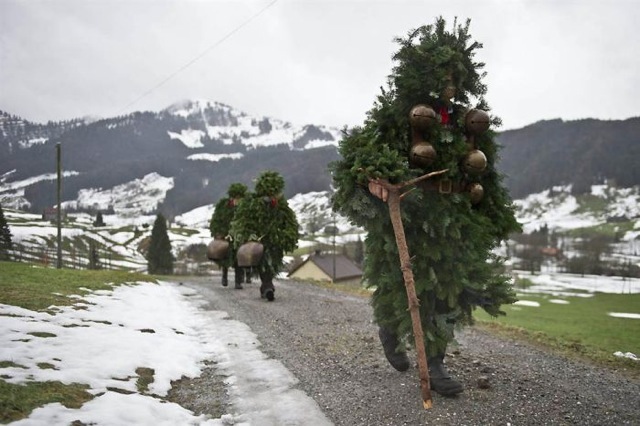 tree-walkers-903.jpg