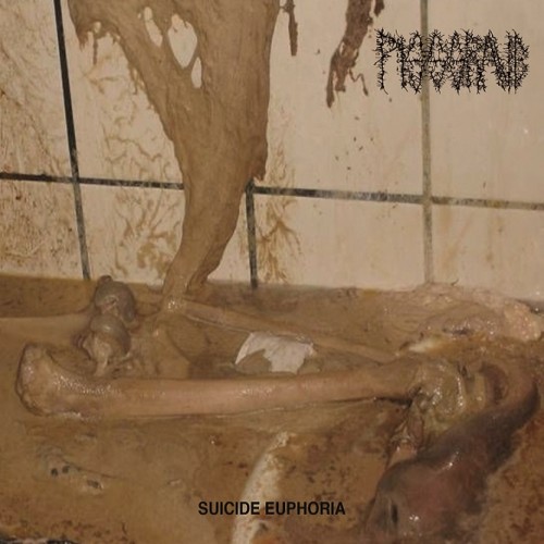 Pissgrave-Suicide-Euphoria-01-500x500.jpg