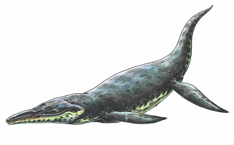 800px-Kronosaurus.jpg