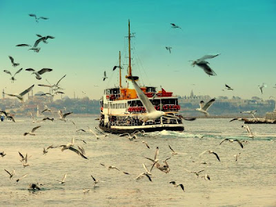 istanbul-deniz-vapur-marti.jpg
