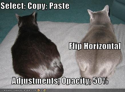 funny-pictures-photoshop-cats-opacity.jpg
