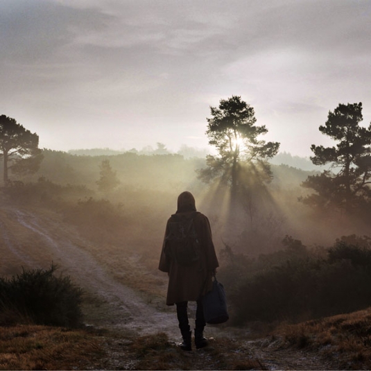 esben_and_the_witch_-_a_new_nature_535_535_c1.jpg