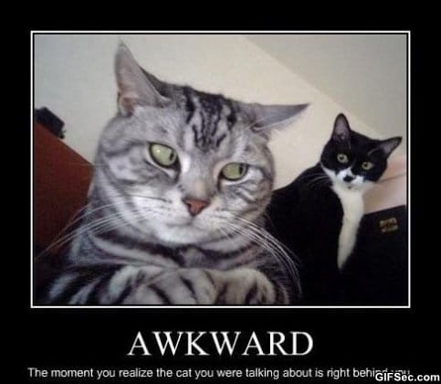 LOLCats-Awkward-moment.jpg
