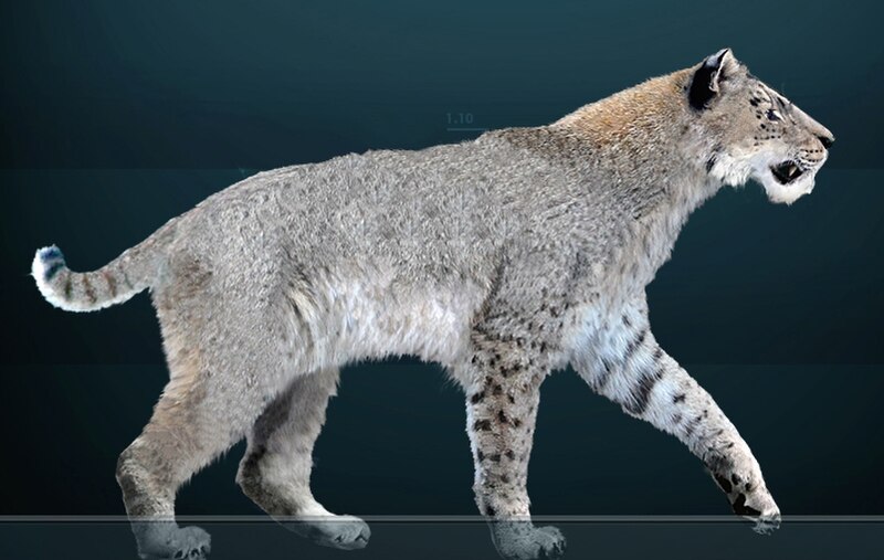 800px-Homotherium_serum.jpg
