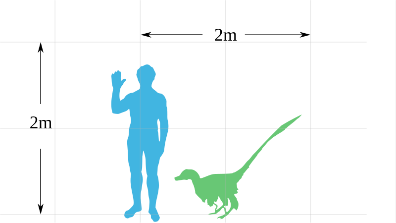 800px-Vraptor-scale.svg.png