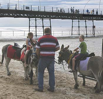 beach%20with%20donkeys%20detail.jpg