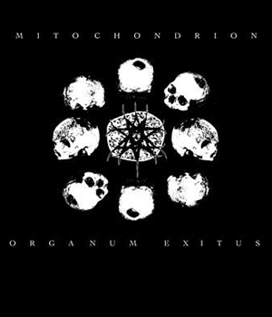 release_mitochondrion04front.png