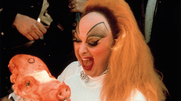 pink_flamingos_01.jpg